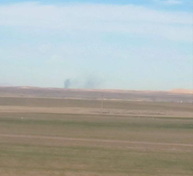 مصطفی محمودی tweet media