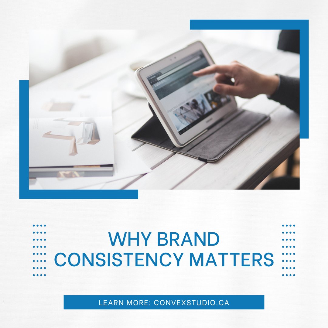 Convex Studio tweet media