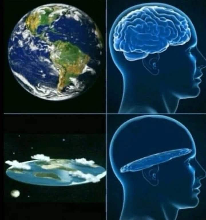 Elwood Fella tweet media