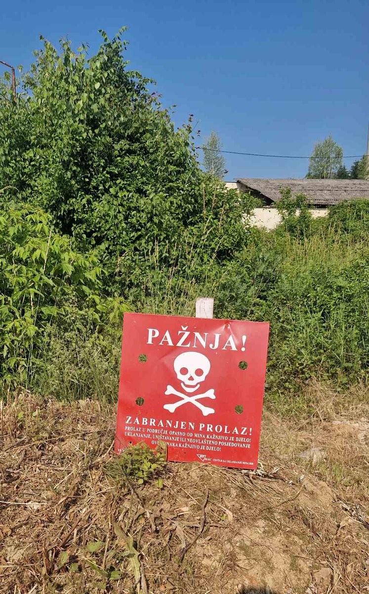 Mine Detection Dog Center in BiH tweet media