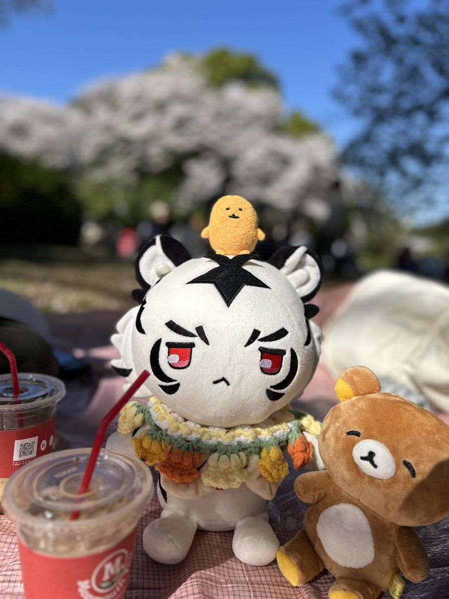 ツツツ tweet media