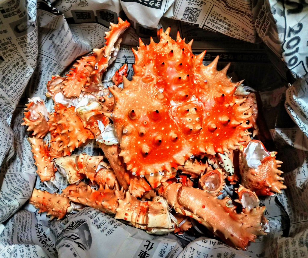 うっかり@次は6月に柏の辺で tweet media