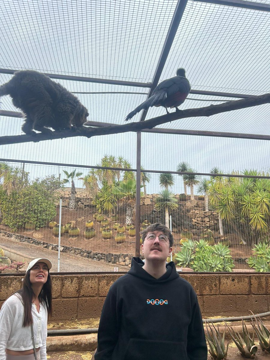 Louis🦖🦕Westmoreland tweet media