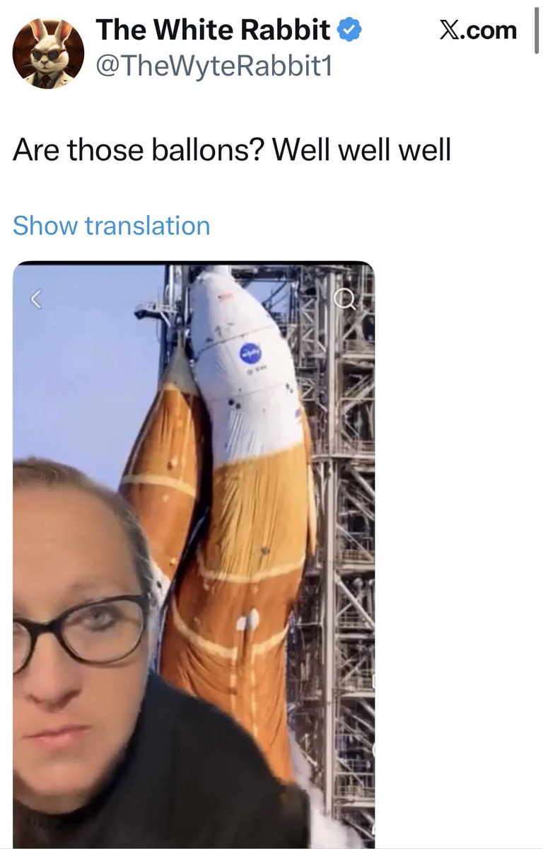 LaBombetta Rettiliana ™️👽 tweet media