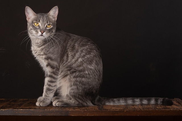 Deon Hilton tweet media