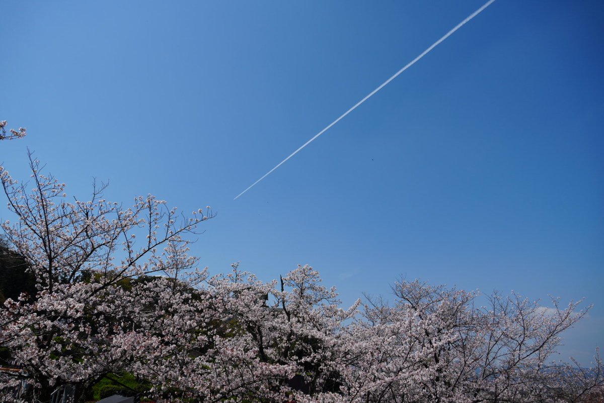 kazu@日本酒呑みたい tweet media