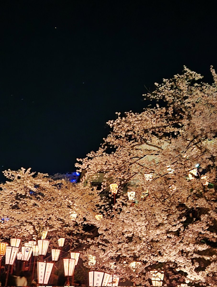 雨さん Re: tweet media