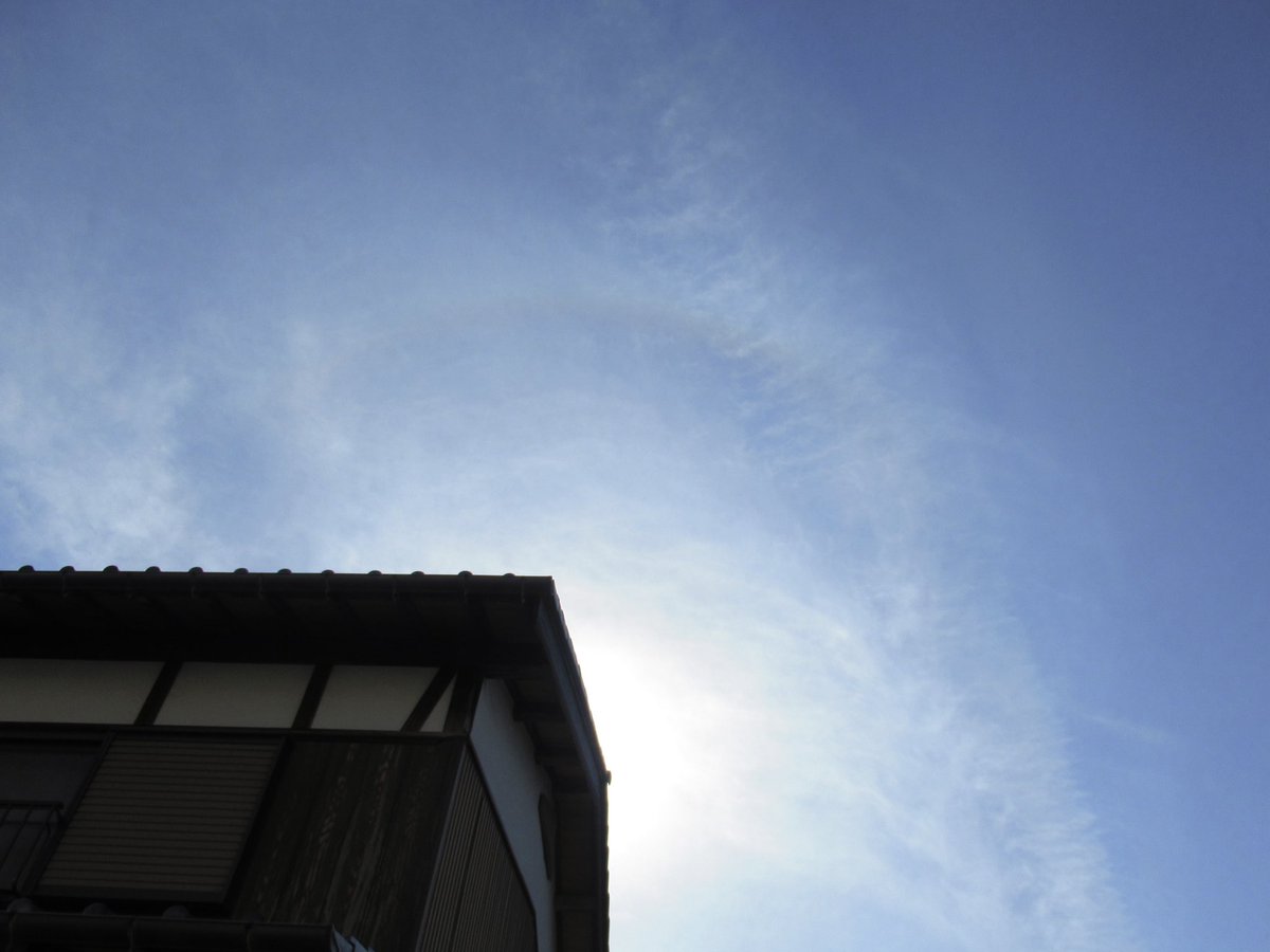 みなみ🐬✨💐 tweet media