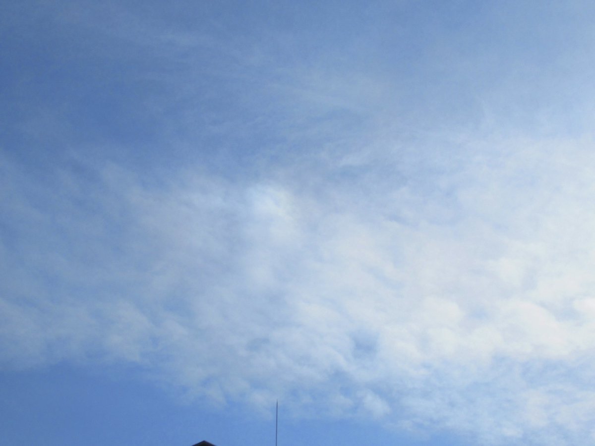 みなみ🐬✨💐 tweet media