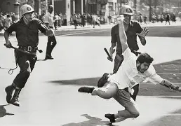 Petúnia Lagartixa tweet media