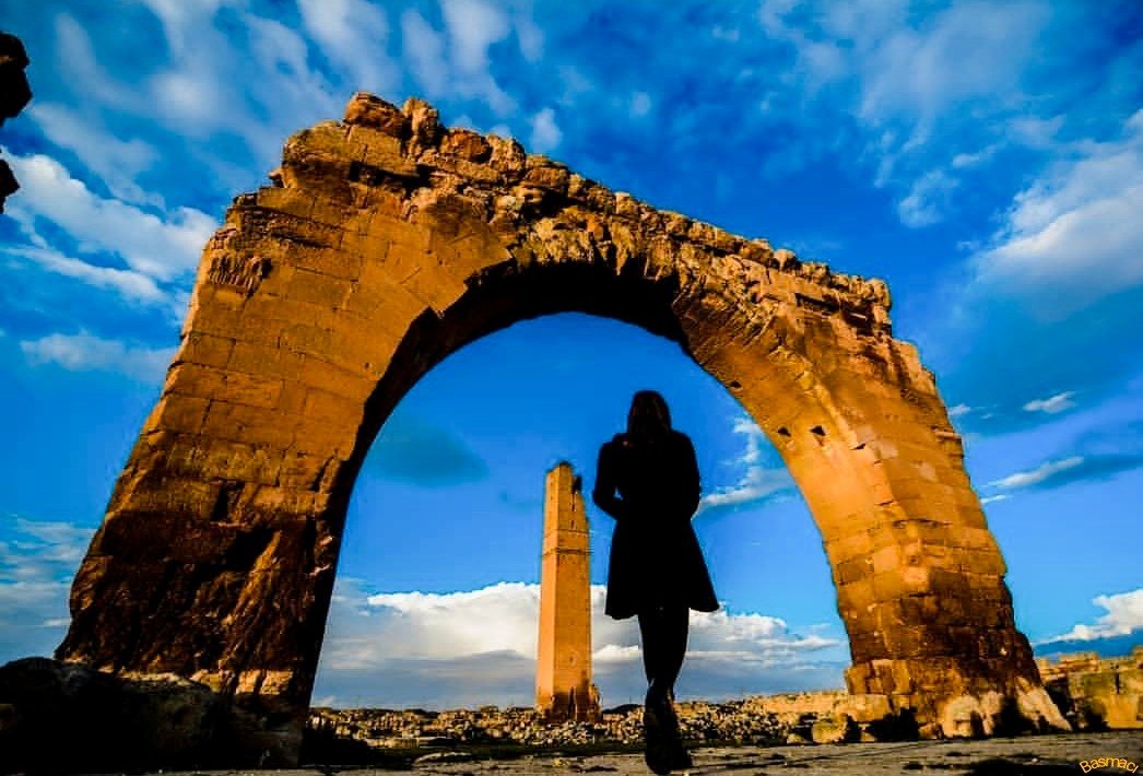 ÖMER GENÇOĞLU tweet media