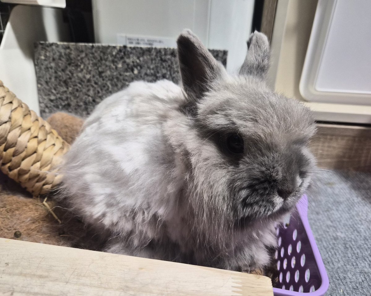 夢の国のアーさん tweet media