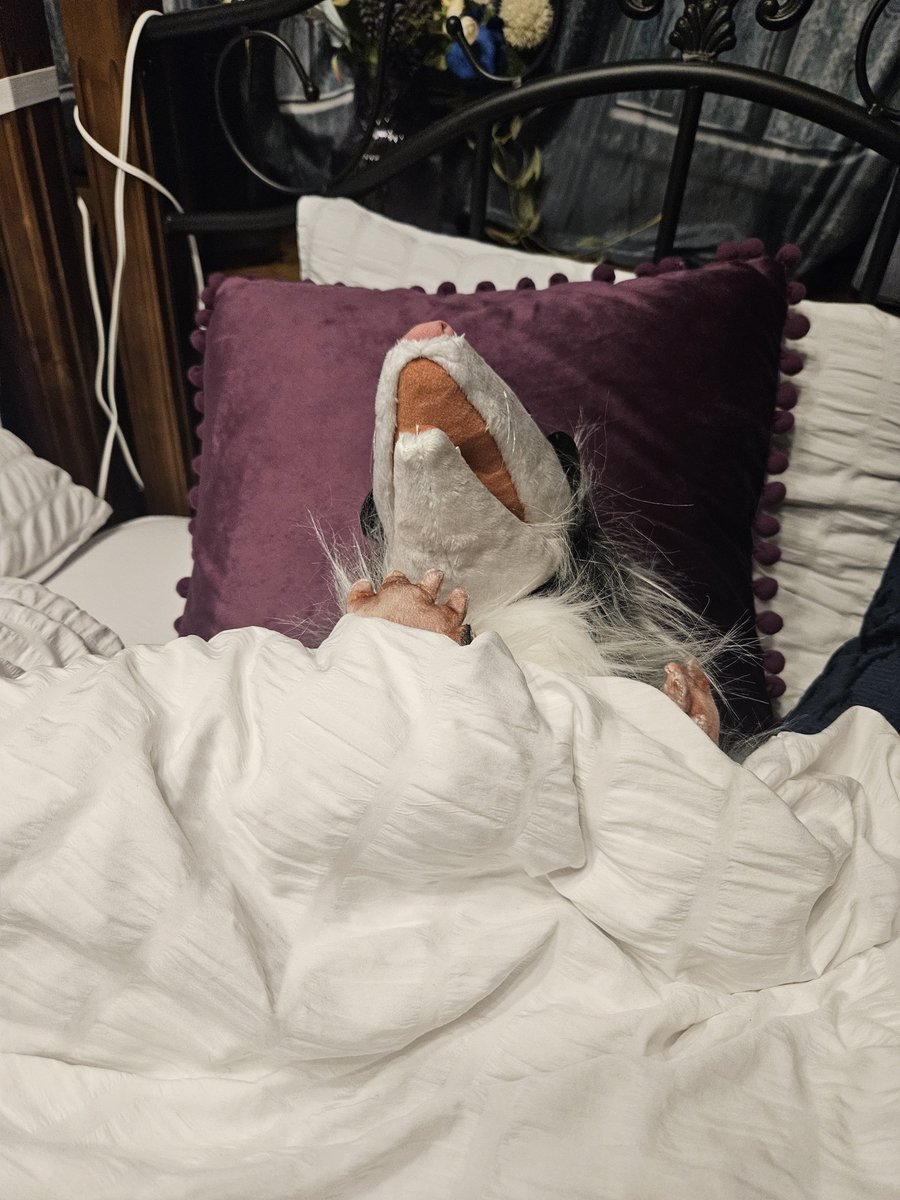 🥉 Pipkin Pippa 🔌🐰 Phase-Connect tweet media