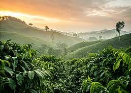 J. Paulino ☕️🇩🇴 tweet media