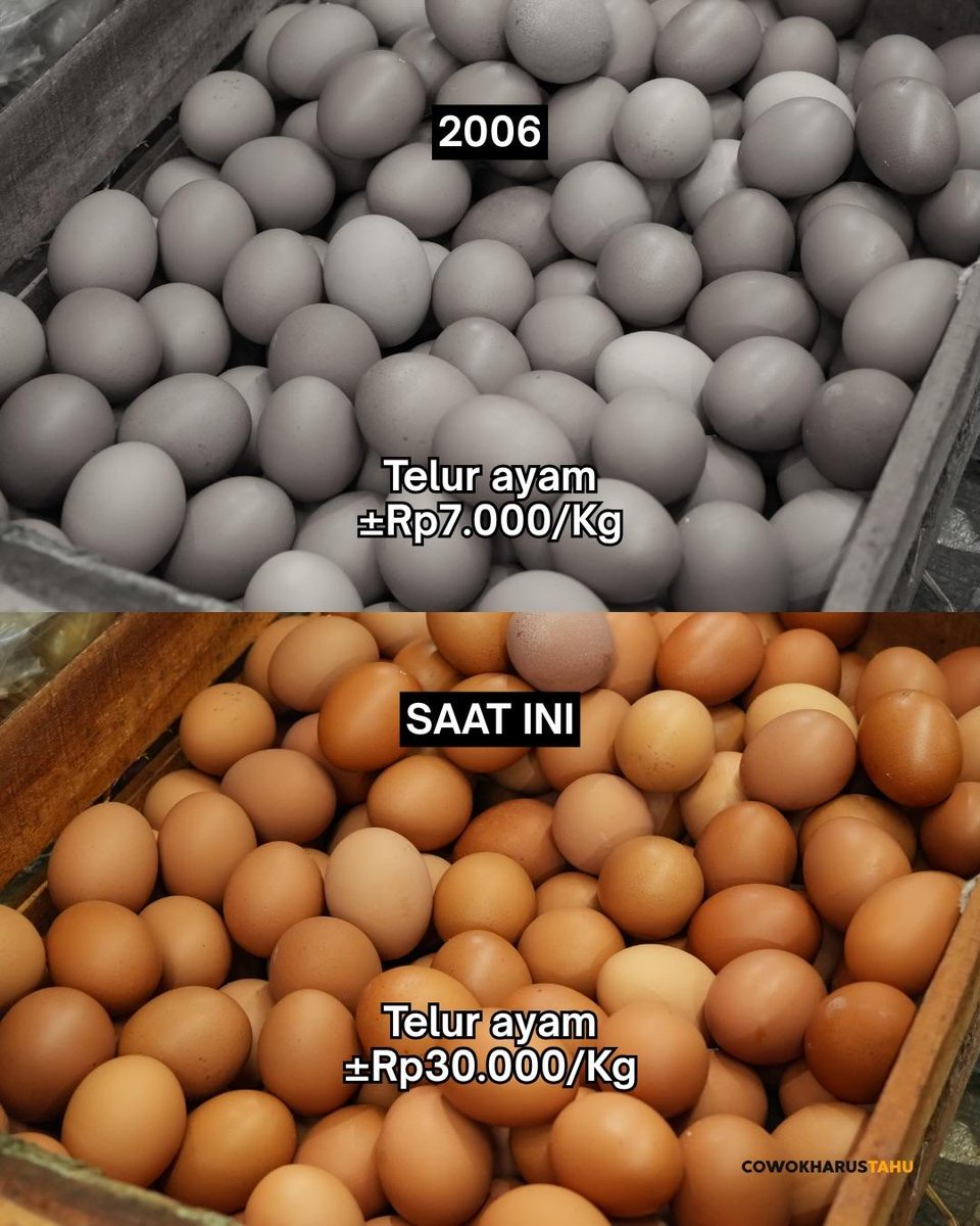 Mbak kun tweet media