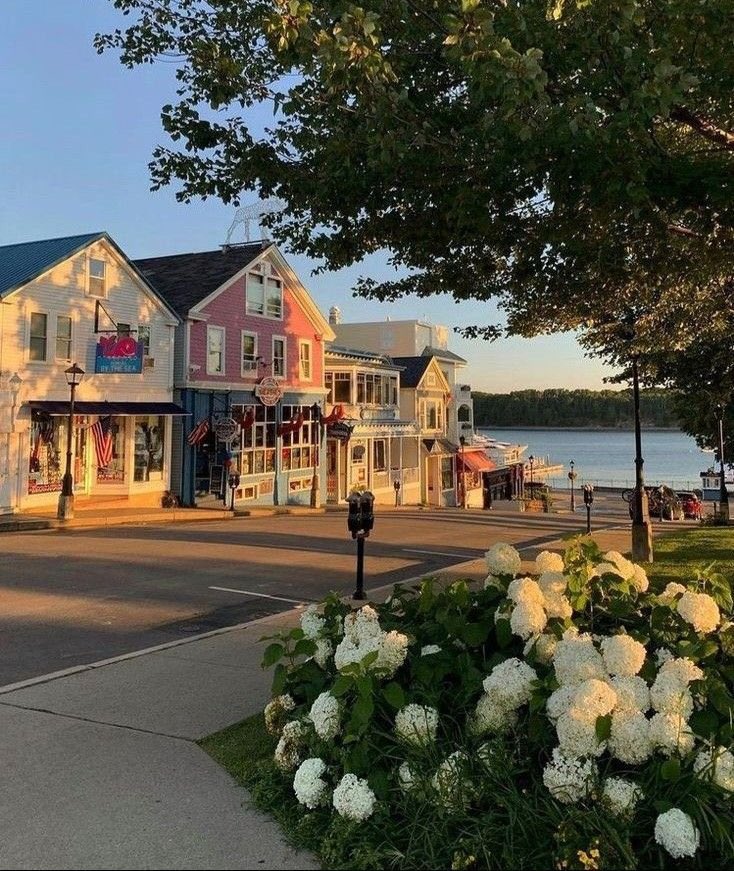 novaworld tweet media