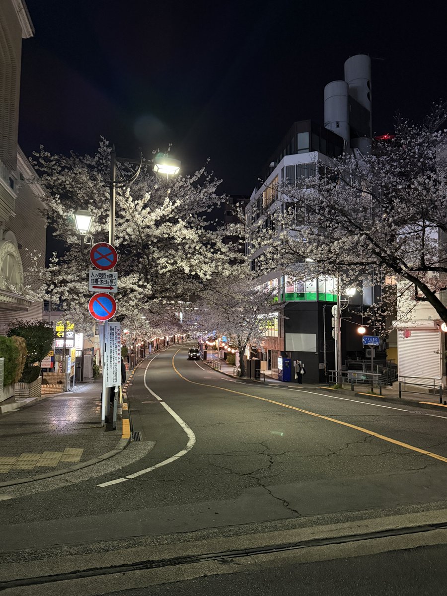 Tanboooon's tweet photo. 春の聖蹟桜ヶ丘 https://t.co/TNBtdcZkv0