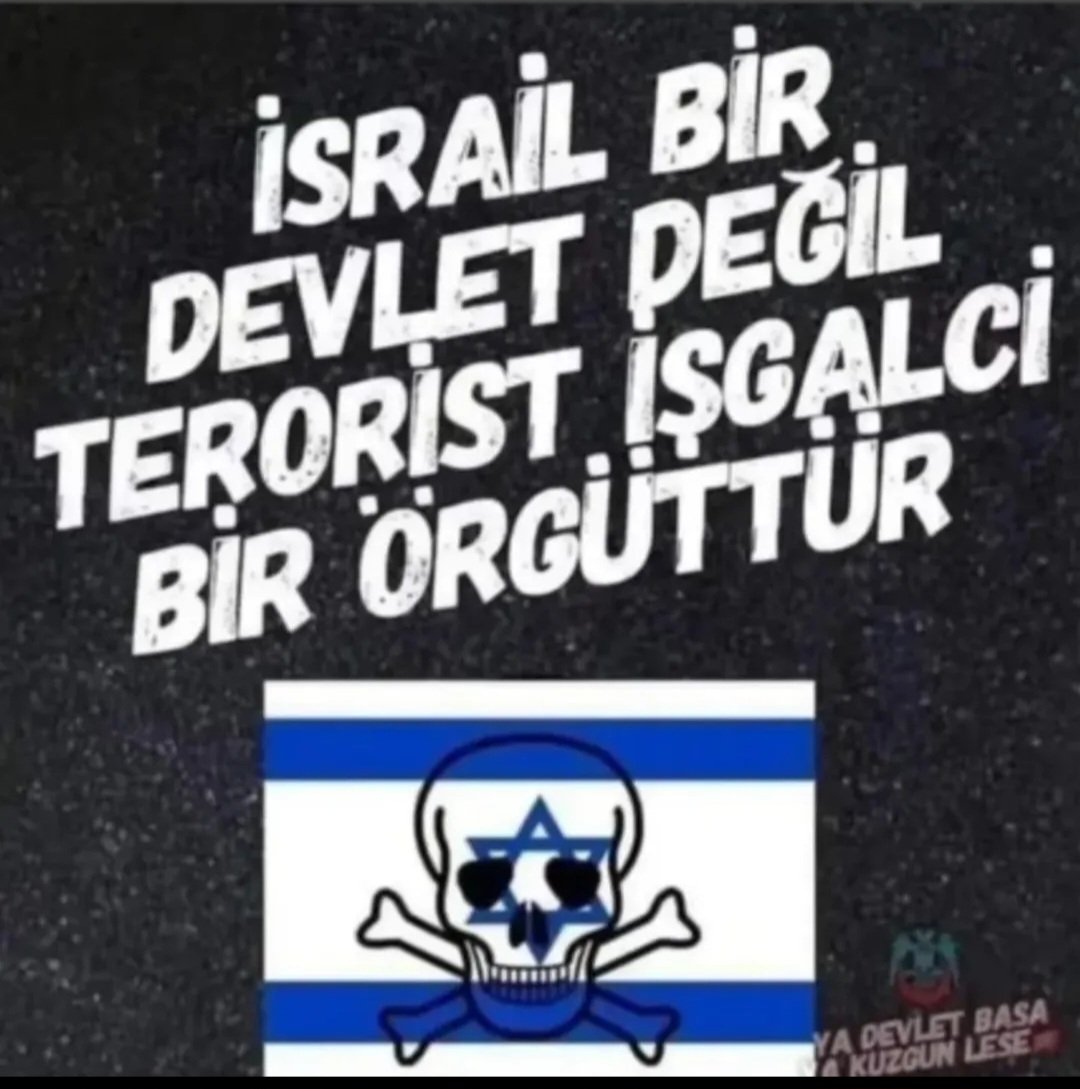 Bora Bora🇹🇷 tweet media