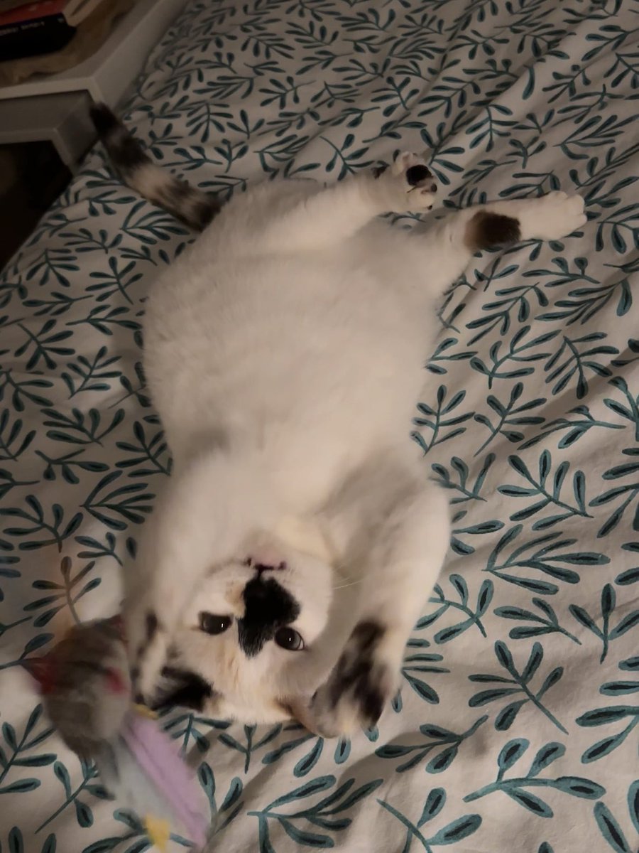 rory 🪩 tweet media