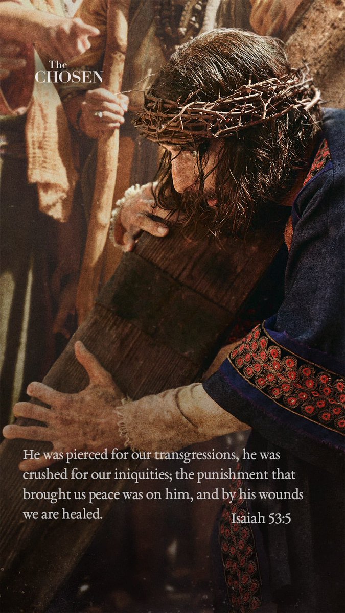 shawmor 🐺 🟦 tweet media