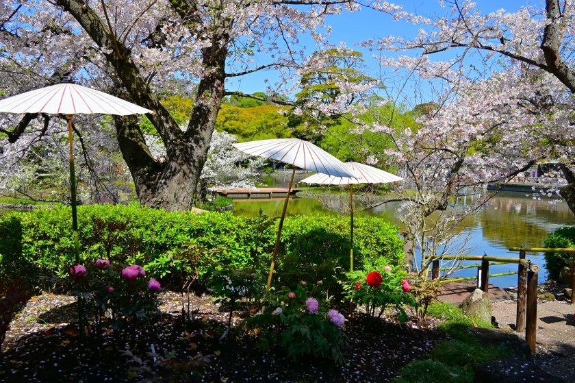 イリヤ tweet media