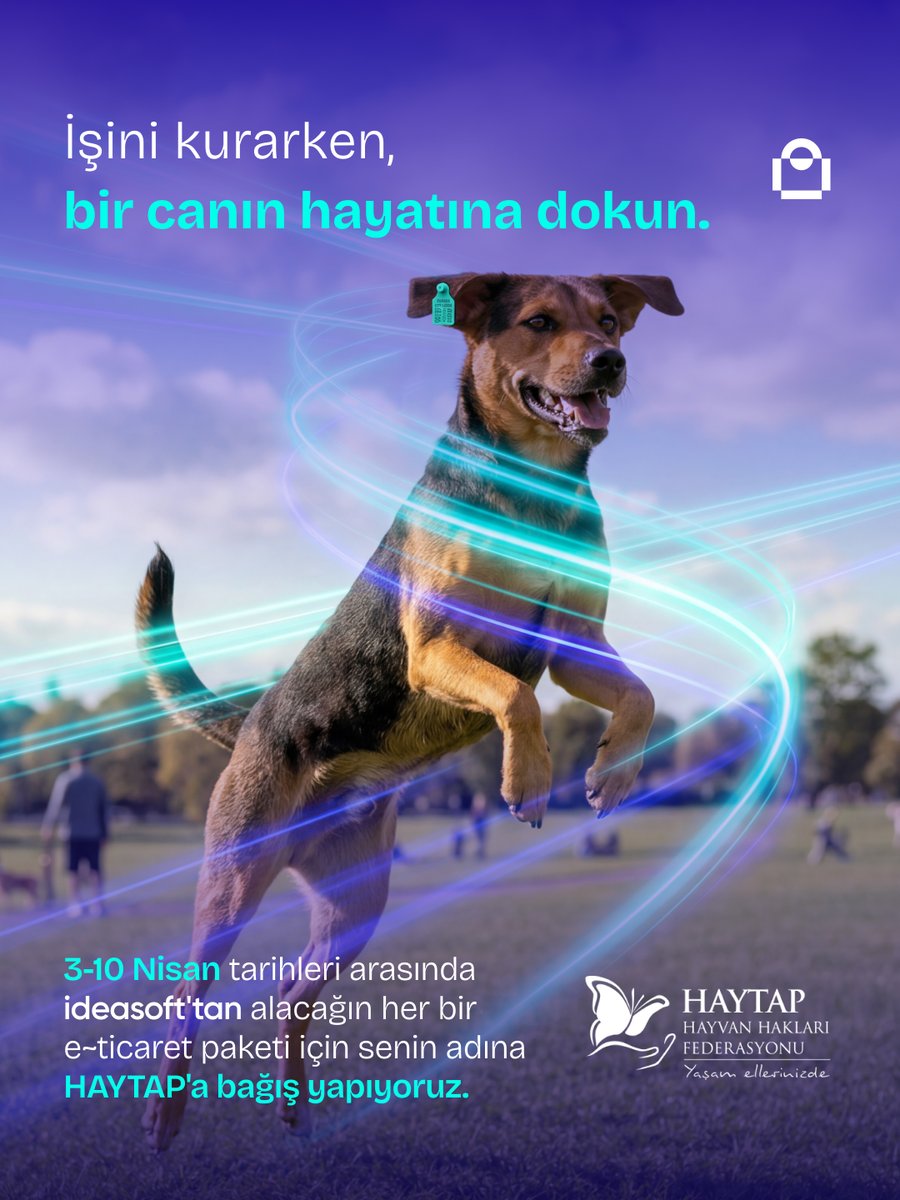 ideasoft tweet media