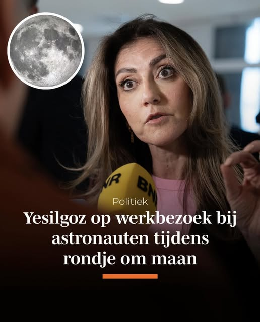 Dolly van den Berg tweet media