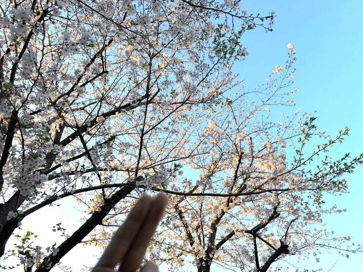 TAKAMI_HIROYUKI's tweet image. いよいよ明日からエレナイ2026スタート🌸逢えるのを楽しみにしてマス😉🎉🎉🎉🎉🎉🎉
 #access #EN2026 #貴水博之