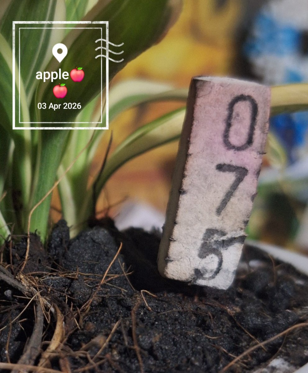 @ple789🍎💰💰 tweet media