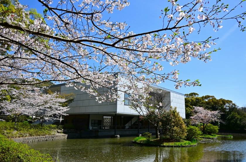 イリヤ tweet media