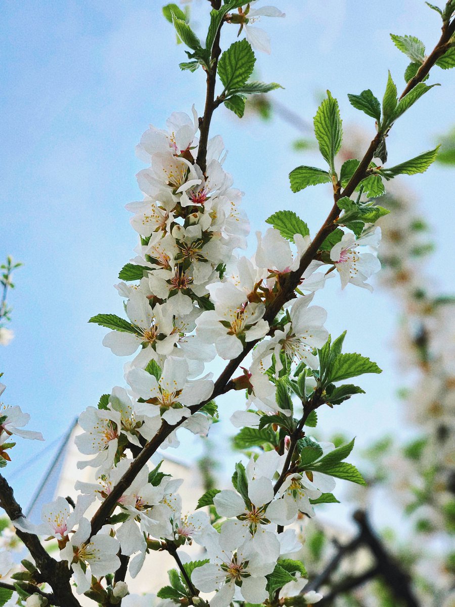 주모여기(뜨개구리 사랑중) tweet media