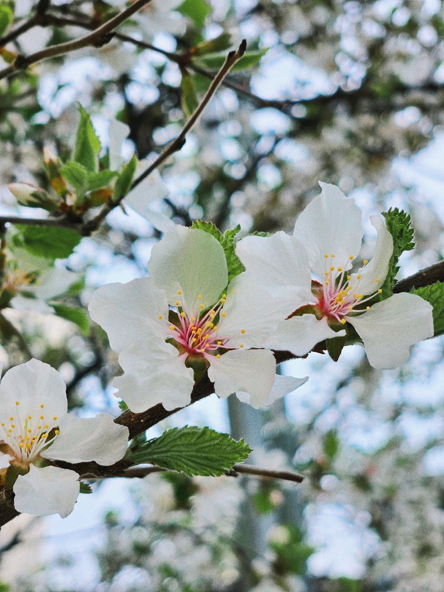 주모여기(뜨개구리 사랑중) tweet media