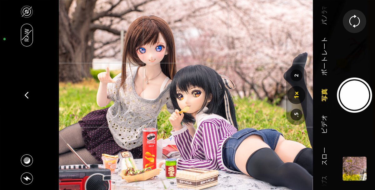 まんじゅう tweet media