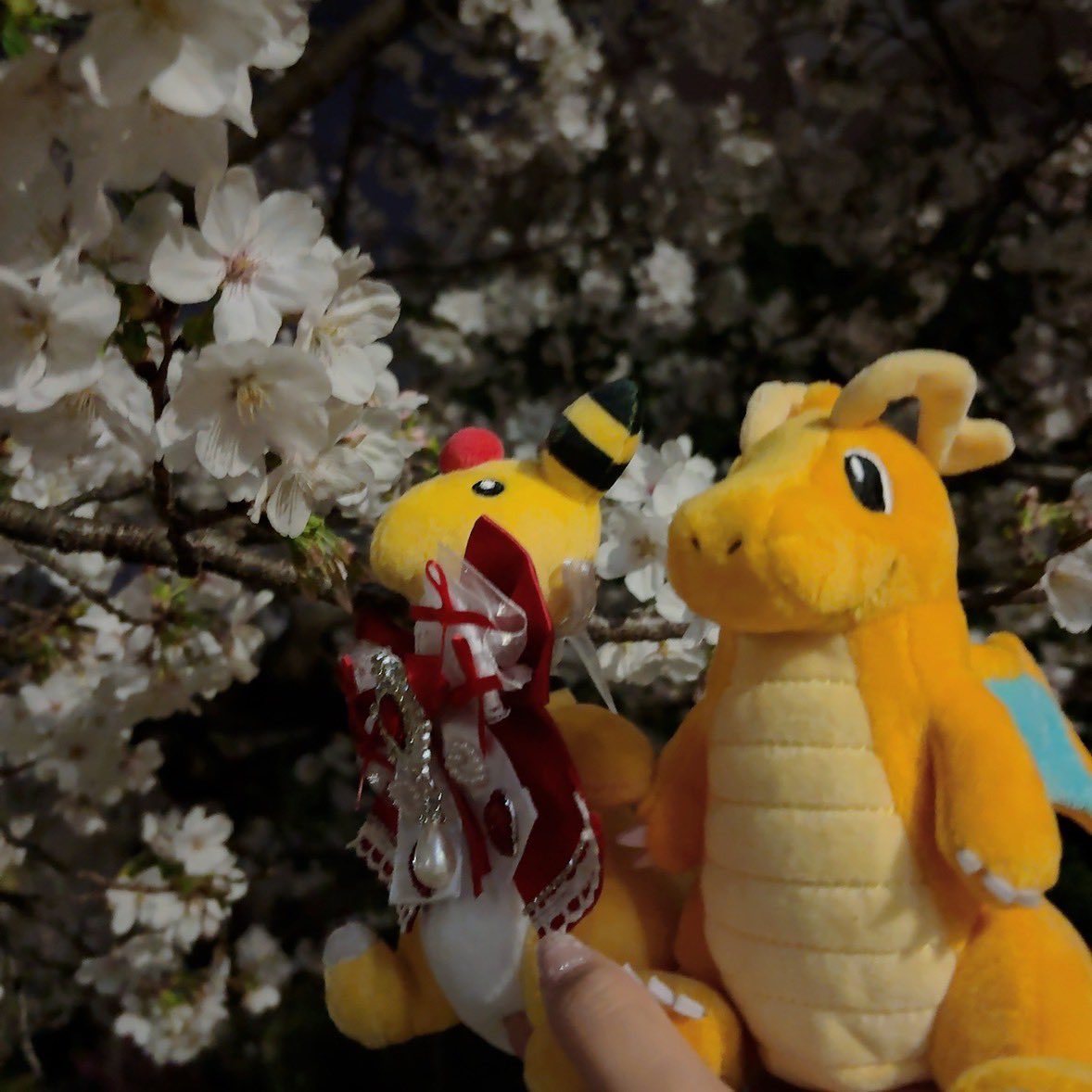 ⋆꙳✮𝑨𝒚𝒂𝒌𝒂🌙️️⋆꙳ tweet media