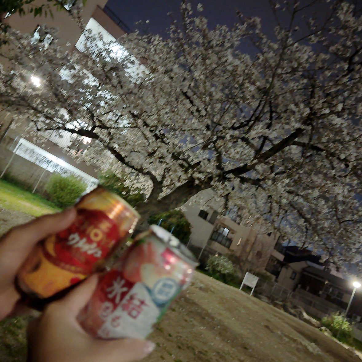 ⋆꙳✮𝑨𝒚𝒂𝒌𝒂🌙️️⋆꙳ tweet media