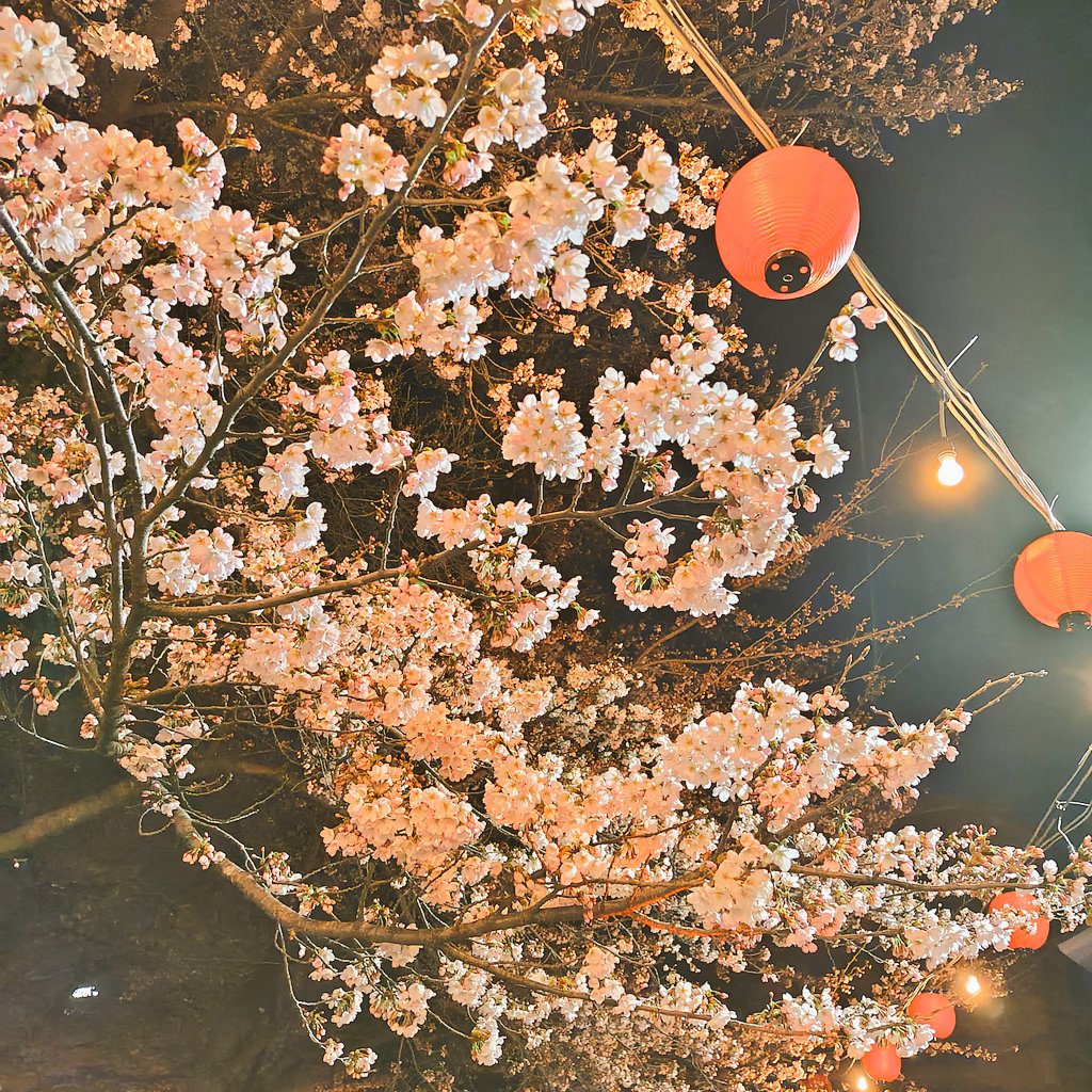 スプラ大好きガッチャピンLv.1 tweet media