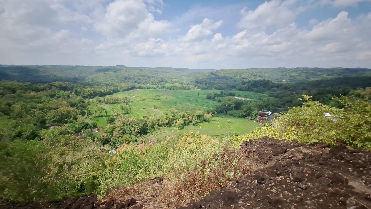 infomitigasi's tweet photo. Gunung Ireng di Patuk, Gunungkidul, bukanlah gunung api biasa. Ia adalah fosil gunung api purba yang aktif sekitar 20 hingga 25 juta tahun yang lalu. Tempat yang Anda pijak sekarang dulunya adalah pusat aktivitas magma di bawah permukaan laut.

Lalu Kenapa Batunya Hitam dan Keras?
Nama "Ireng" berasal dari warna batuannya yang hitam pekat. Secara geologi, ini adalah batuan Basalt. Batuan ini terbentuk dari magma yang mendingin dengan cepat. Karena teksturnya yang sangat keras dan masif, batuan ini lebih tahan terhadap pengikisan (erosi) dibandingkan tanah di sekitarnya, sehingga ia tetap berdiri kokoh membentuk bukit.

Kolom Kekar (Columnar Joint)
Salah satu fitur paling menakjubkan di Gunung Ireng adalah adanya Kekar Kolom. Jika Anda melihat bongkahan batu yang berbentuk kotak-kotak atau segi enam yang tersusun rapi seperti tiang atau ubin raksasa, itulah kekar kolom.

Penasaran kan bagaimana Terbentuknya?? Oke mimin jelaskan ya....

Bayangkan sebuah kolam magma panas yang mulai mendingin. Saat mendingin, magma tersebut menyusut atau mengerut. Karena penyusutan ini terjadi secara merata ke segala arah, batuan tersebut pecah secara alami membentuk pola geometris (biasanya segi lima atau segi enam).
Keberadaan kekar kolom ini menandakan bahwa di titik tersebut dulunya terjadi proses pendinginan magma yang sangat stabil dan perlahan di dalam perut gunung api atau aliran lava yang sangat tebal.

Selain kolom yang rapi, ada juga batuan yang berbentuk bulat-bulat besar seperti bantal yang bertumpuk. Ini adalah bukti otentik bahwa letusan Gunung Ireng terjadi di bawah laut.
Saat magma panas keluar dan langsung "disiram" oleh air laut yang dingin, permukaannya membeku seketika membentuk kulit bulat, sementara bagian dalamnya masih cair dan terus mendorong hingga membentuk gumpalan-gumpalan unik.

Gunung Ireng adalah bagian dari Formasi Nglanggeran. Jutaan tahun lalu, daerah ini merupakan deretan gunung api bawah laut yang sangat aktif (mirip seperti kondisi busur kepulauan di Maluku saat ini). Akibat pergerakan lempeng tektonik yang hebat, dasar laut ini perlahan terangkat menjadi daratan tinggi yang kita kenal sekarang sebagai Pegunungan Seribu.
Jadi kesimpulan Sederhananya adalah bahwa
Gunung Ireng adalah bekas pipa penyalur magma (leher gunung api) yang membeku di bawah laut. Pola kotak-kotak (kekar kolom) adalah jejak penyusutan magma saat mendingin, sedangkan bentuk bantal adalah bukti sentuhan langsung magma dengan air laut.