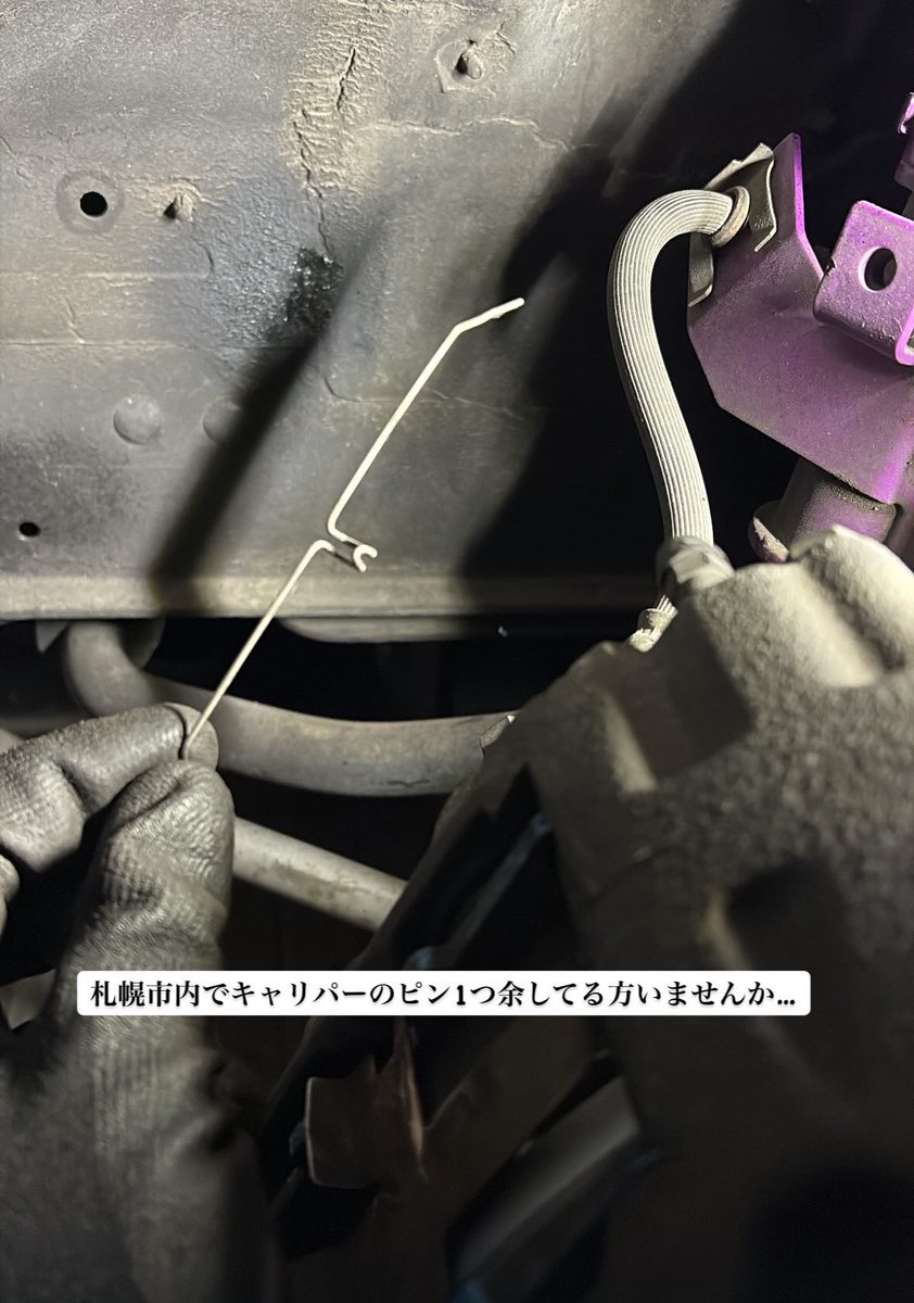 しょ~や®️ tweet media