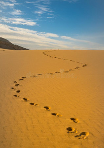 College ENT Presents tweet media