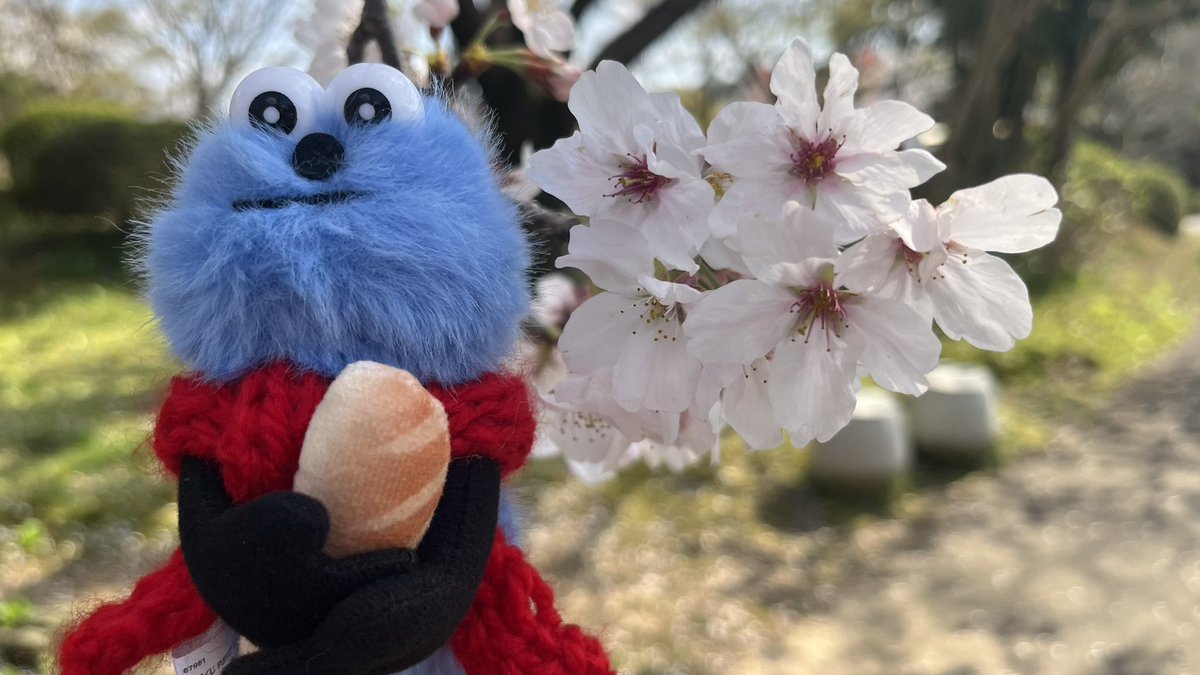 “とてと”なスンスン好き tweet media