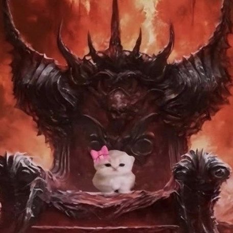 𝓫𝚞𝚗𝚗𝚒𝚎 ✿ ໒꒱ tweet media