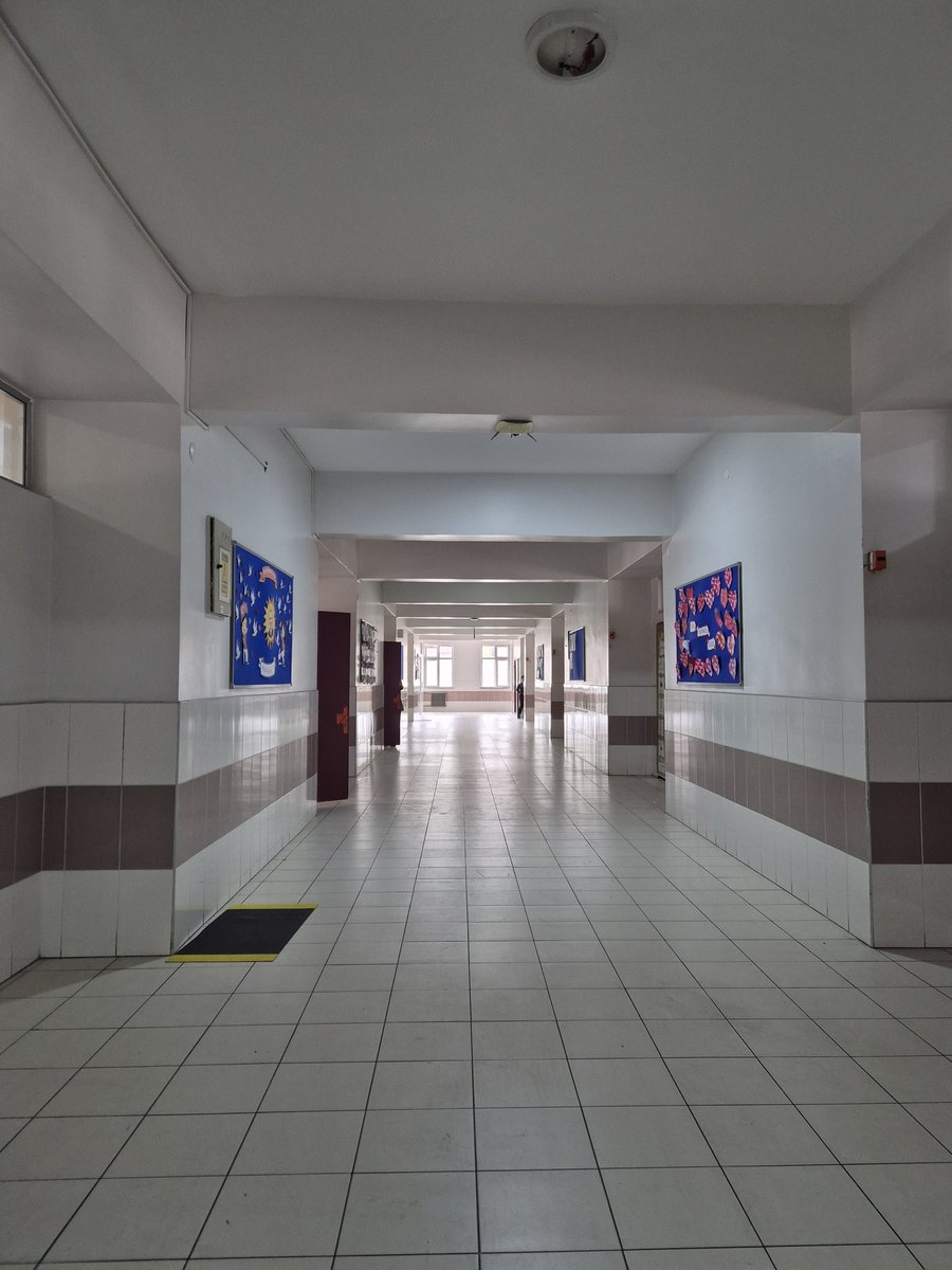 Trabzon MEM YEĞİTEK Şubesi tweet media