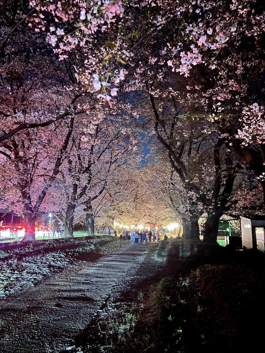 救急魂　Qって略して貰っても構いません👍🏻 tweet media