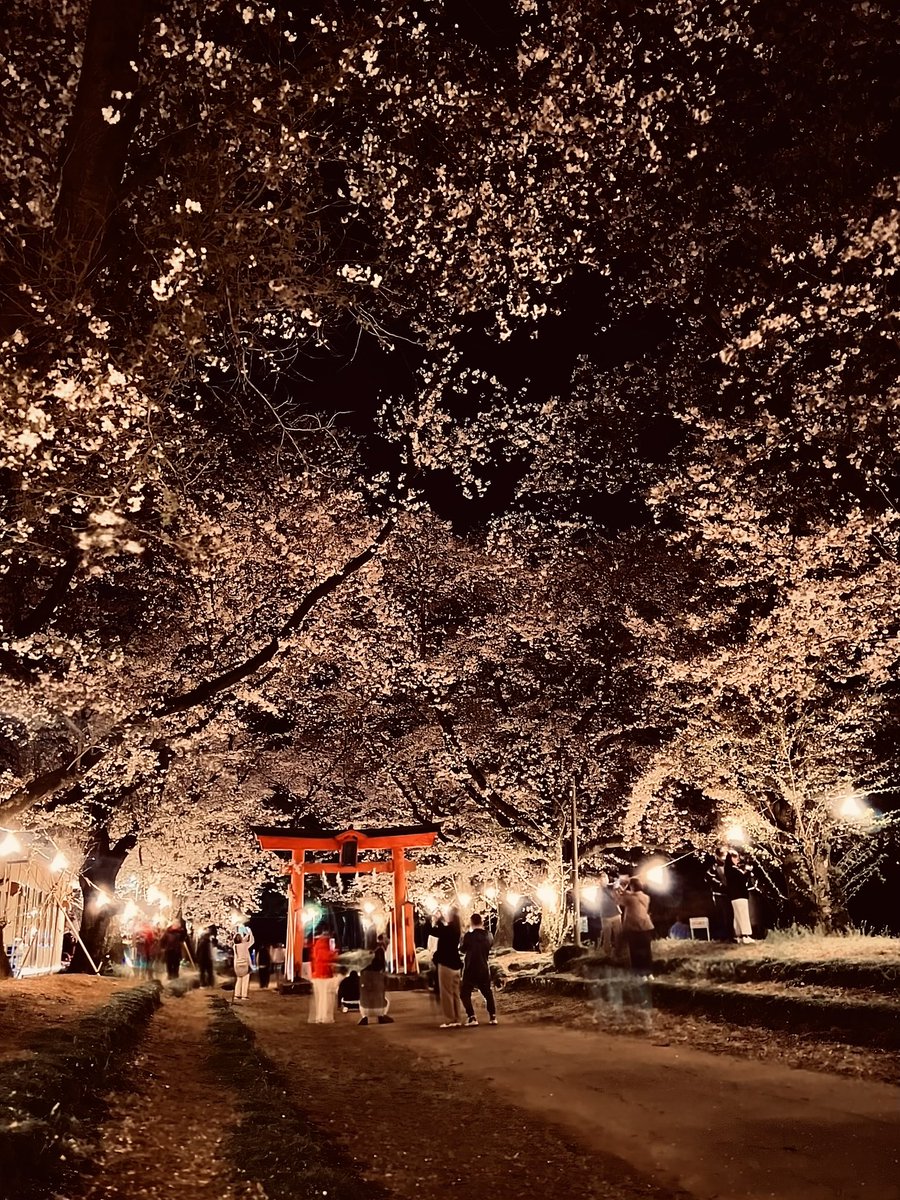 救急魂　Qって略して貰っても構いません👍🏻 tweet media