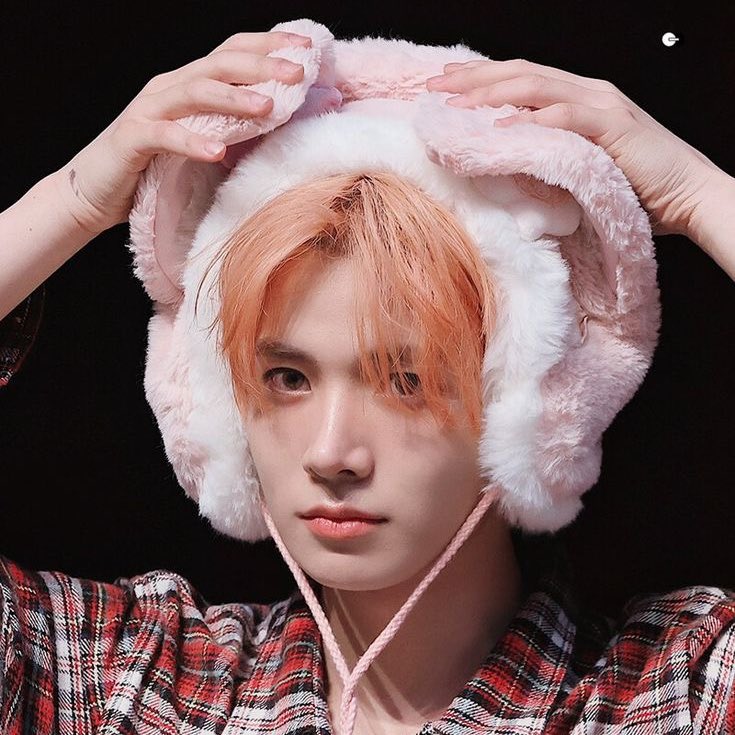 leyla ♥︎'s evan tweet media