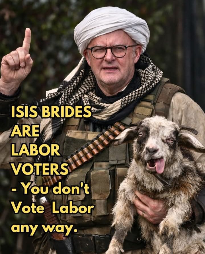 Katalin Kish: MARCUCCI/Mick GATTO CrimeTechTestToy tweet media