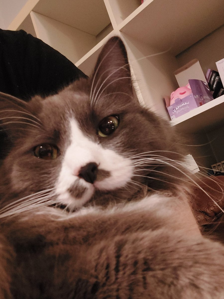 happy Easter to everyone who celebrates!