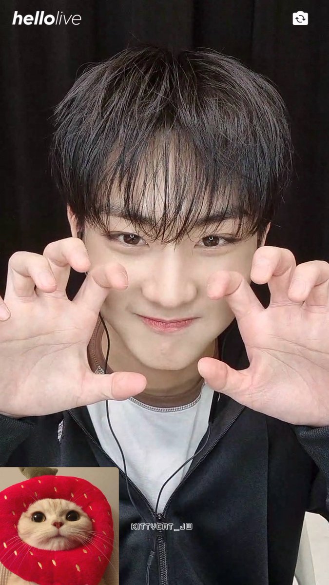 𝑘𝑖𝑡𝑡𝑦𝑐𝑎𝑡. tweet media