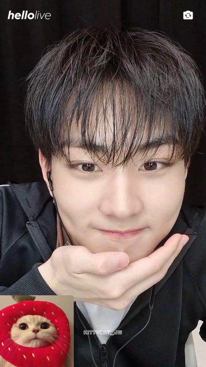 𝑘𝑖𝑡𝑡𝑦𝑐𝑎𝑡. tweet media