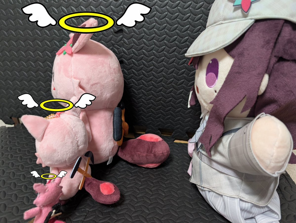 555gh🌽（ファイズ）（挟んでおいたよ、　君は今日からもふもふだ。 ） tweet media